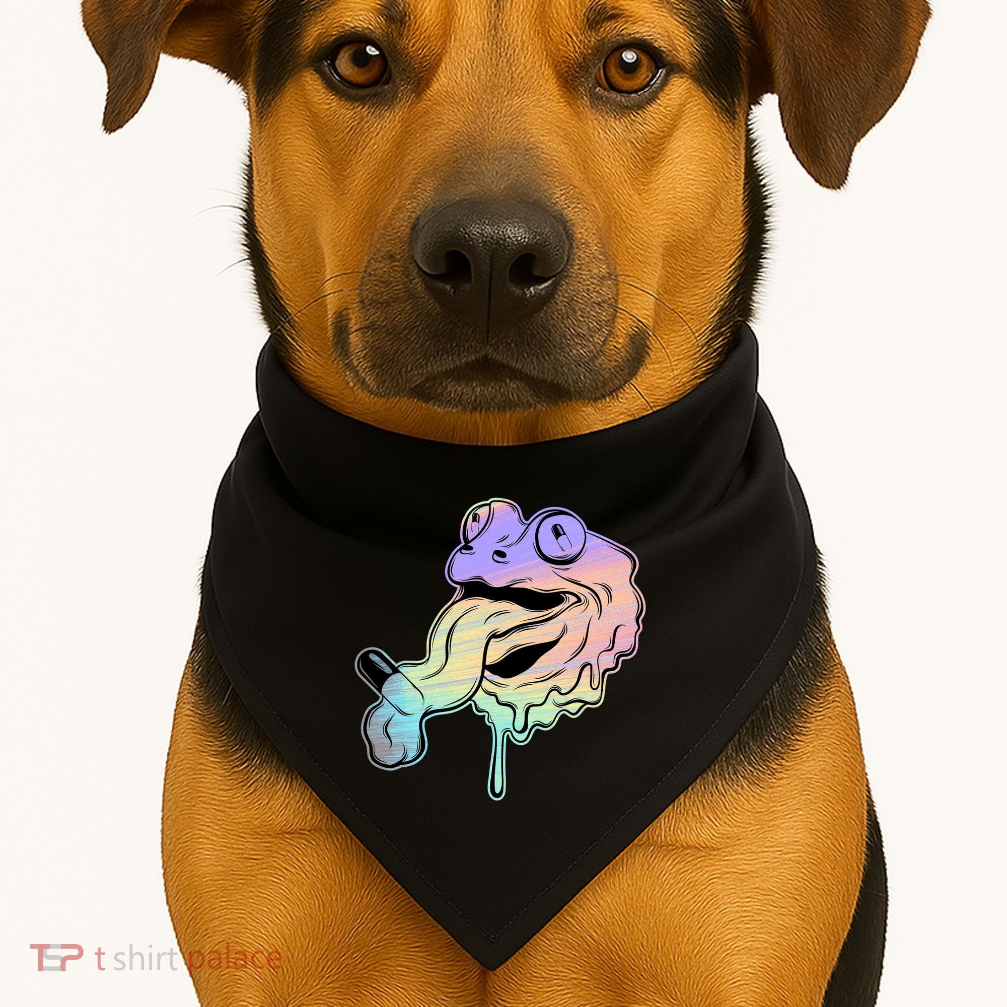 Trippy Frog USA-Made Doggie Bandana