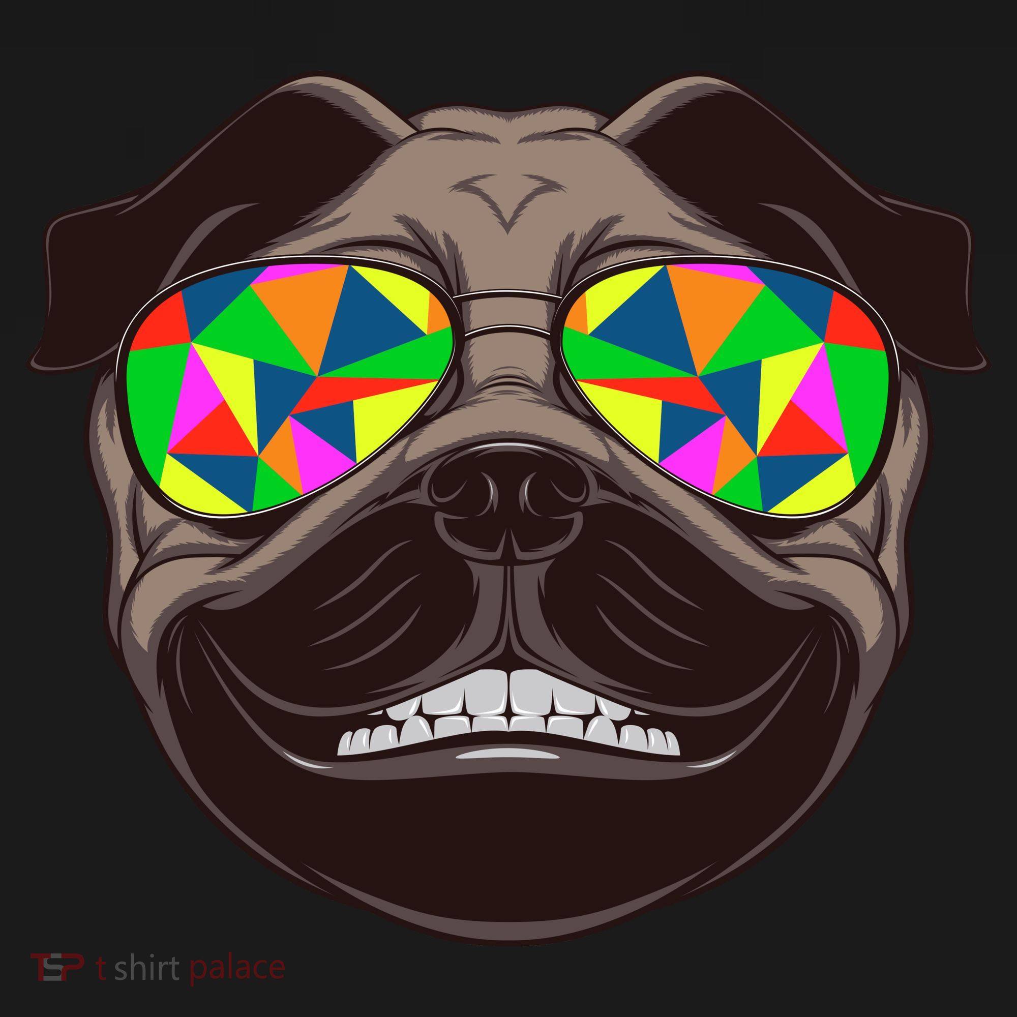 Trippy Hypnotized Pug Hoodie
