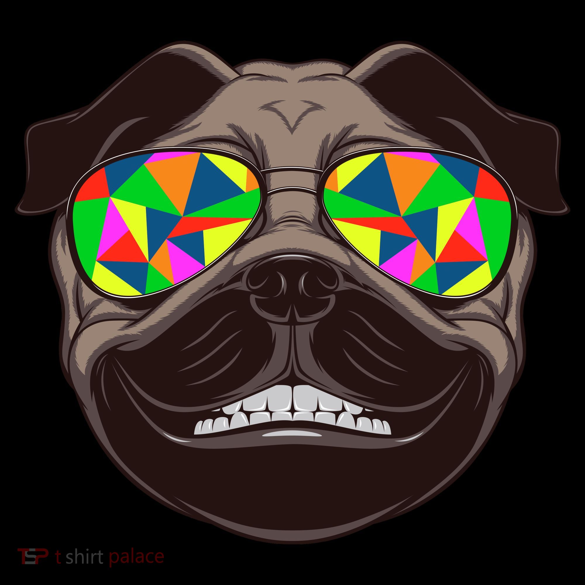 Trippy Hypnotized Pug Coaster