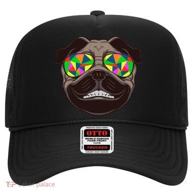 Trippy Hypnotized Pug Hat