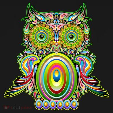Trippy Owl Women's Long Sleeve Shirt