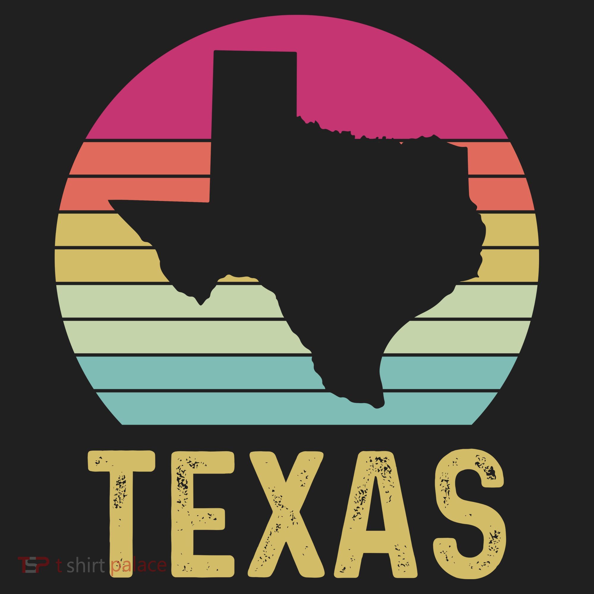 Texas Retro Logo Art Beanie