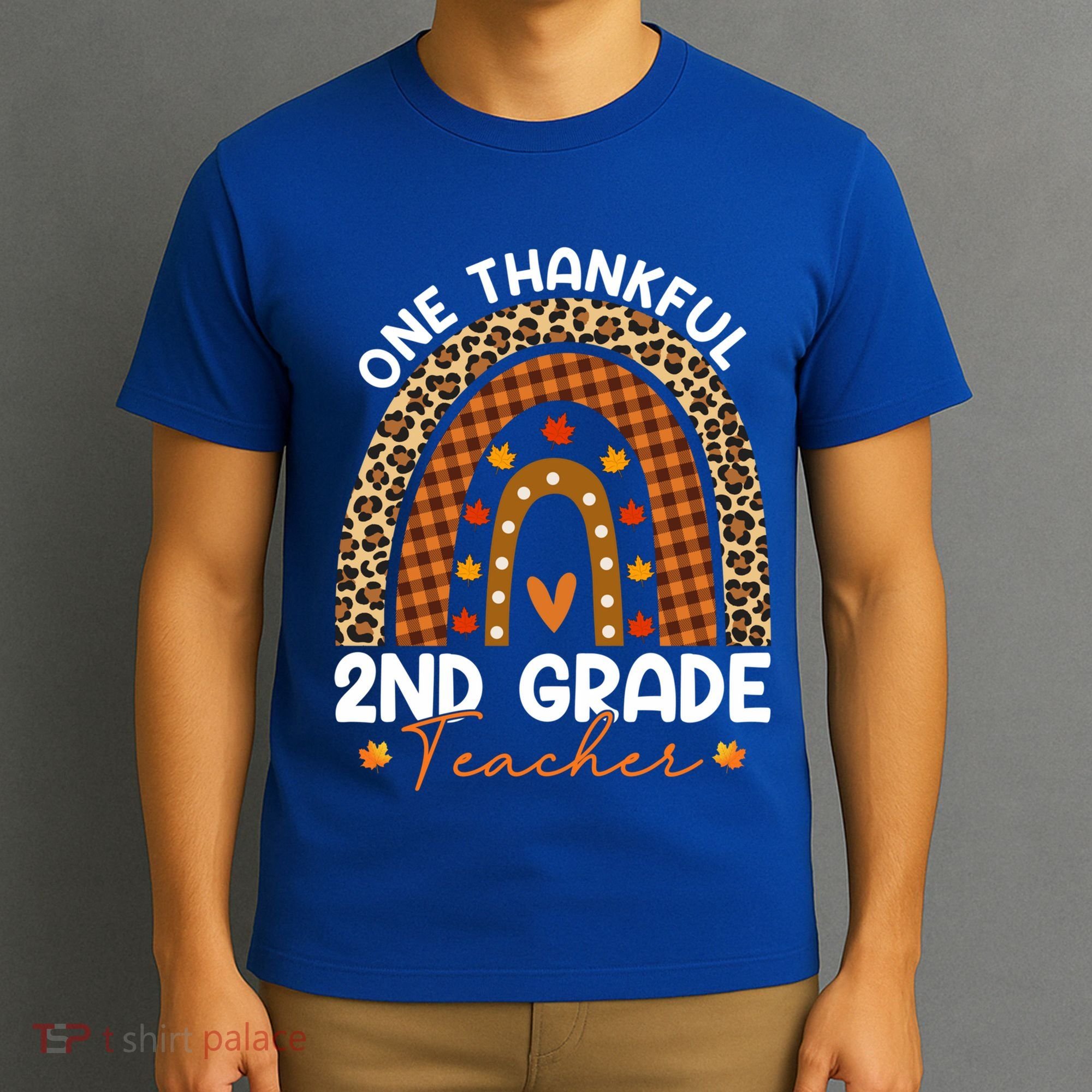 Thanksgiving Rainbow Leopard One Thankful 2nd Grade Teacher Gift T-Shirt