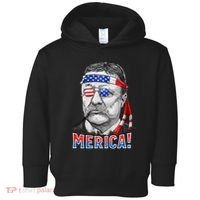 Theodore Roosevelt Merica 4th July Usa Us President Toddler Hoodie thumb 0