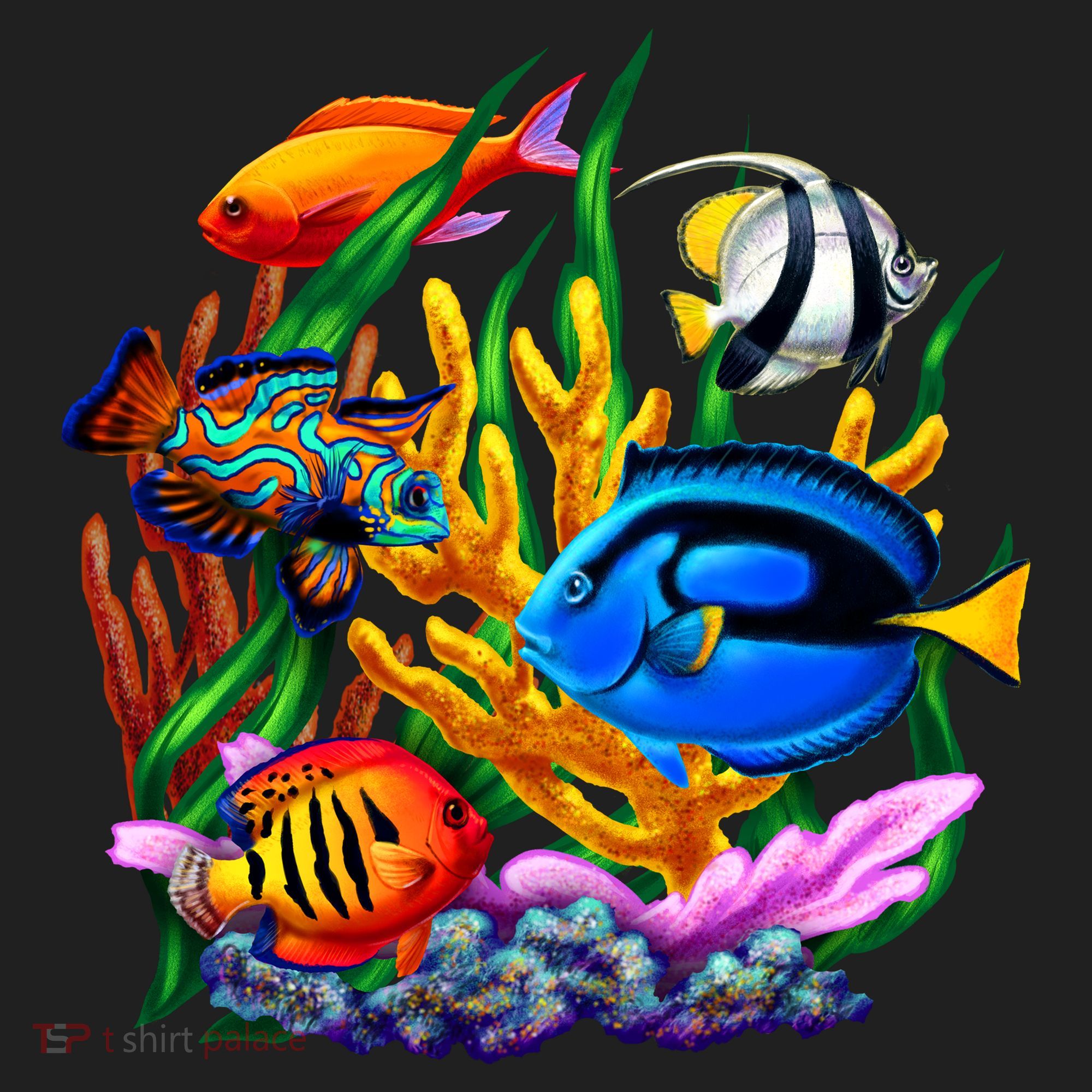 Tropical Fish Tumbler