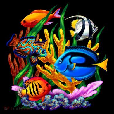 Tropical Fish Toddler Hoodie