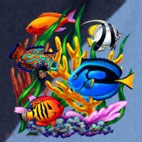 Tropical Fish Raglan Baseball Sleeve Shirt thumb 2