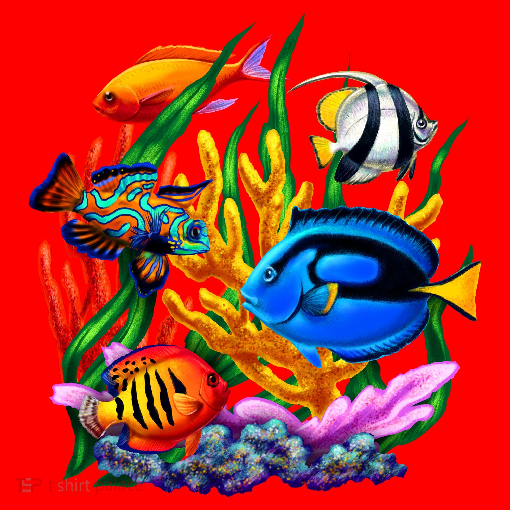 Tropical Fish Santa Hat