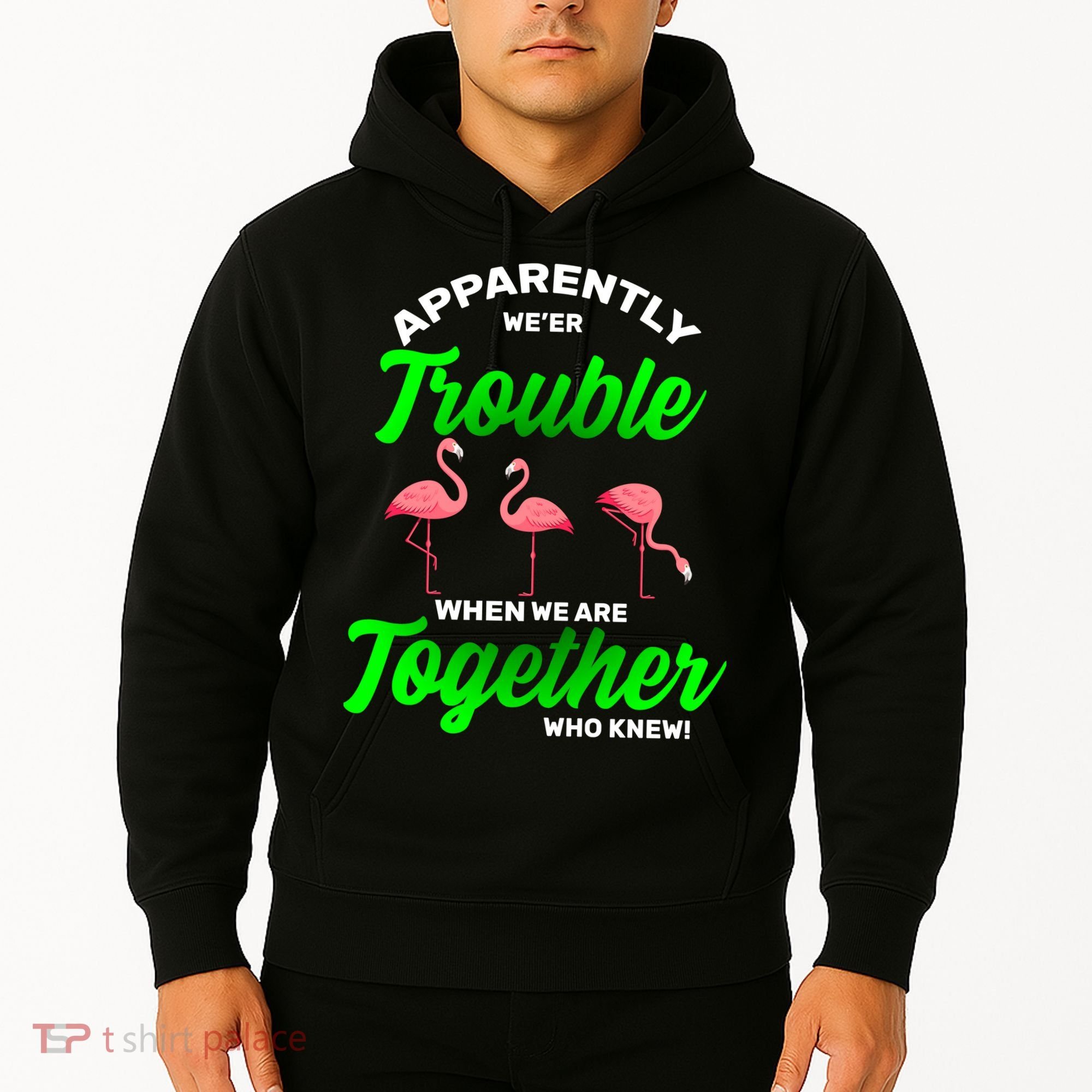 Trouble Flamingo When We Are Together Who Knew Hoodie
