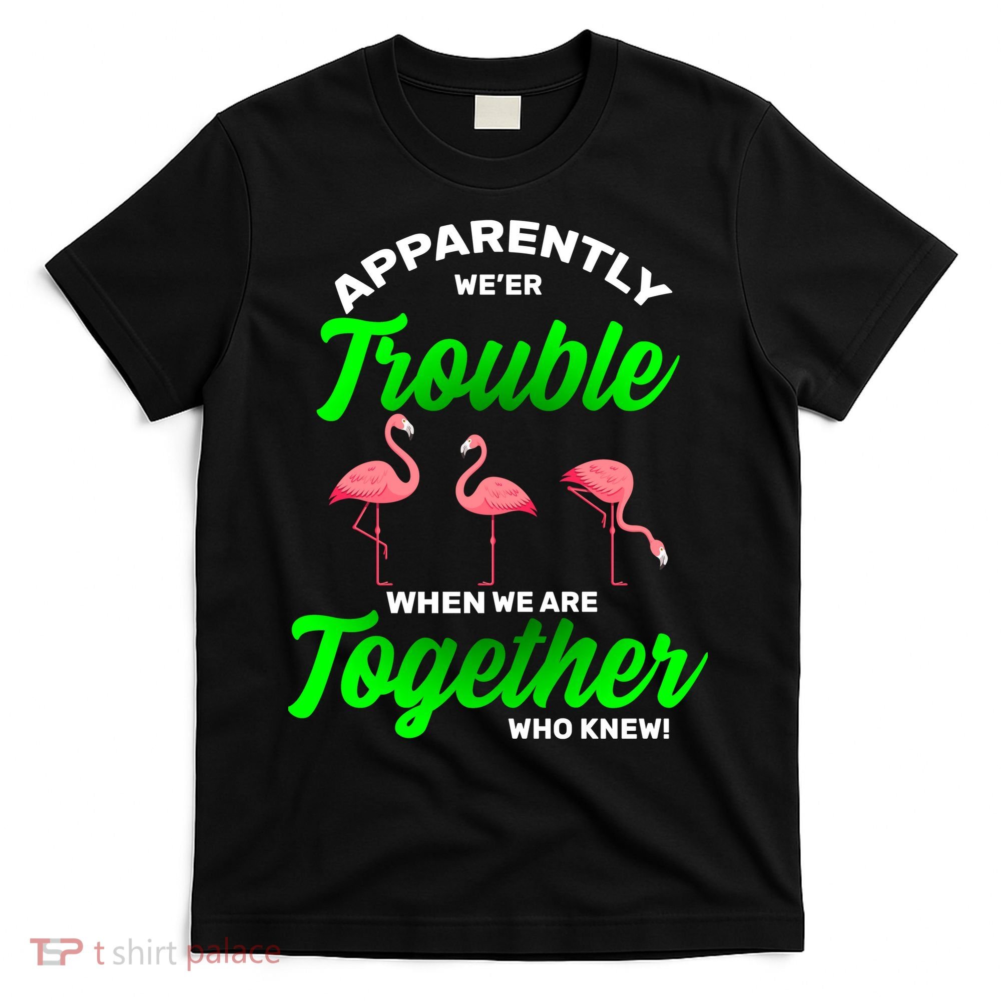 Trouble Flamingo When We Are Together Who Knew T-Shirt