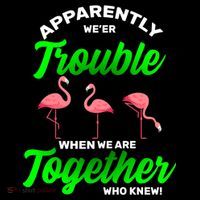 Trouble Flamingo When We Are Together Who Knew T-Shirt thumb 7