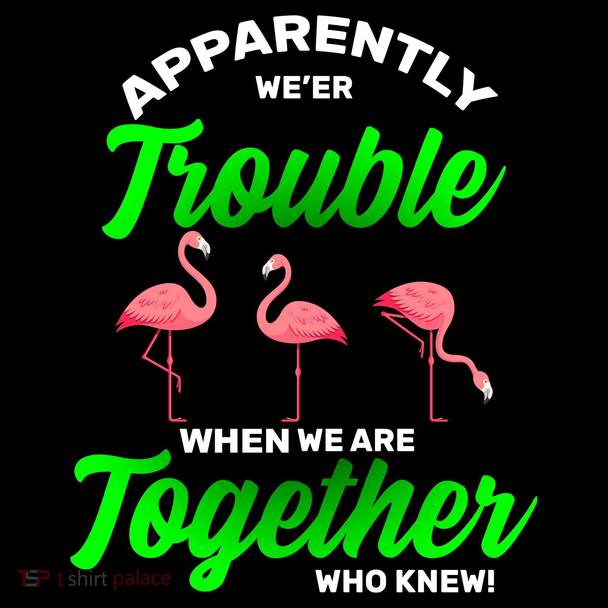 Trouble Flamingo When We Are Together Who Knew T-Shirt