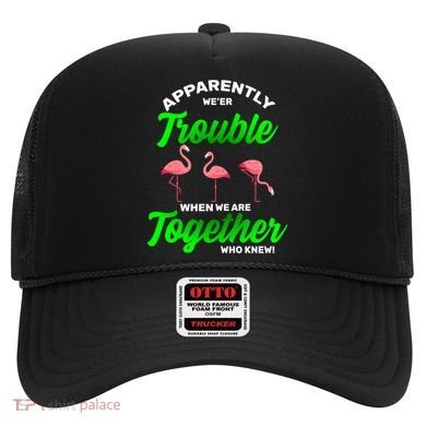 Trouble Flamingo When We Are Together Who Knew Hat
