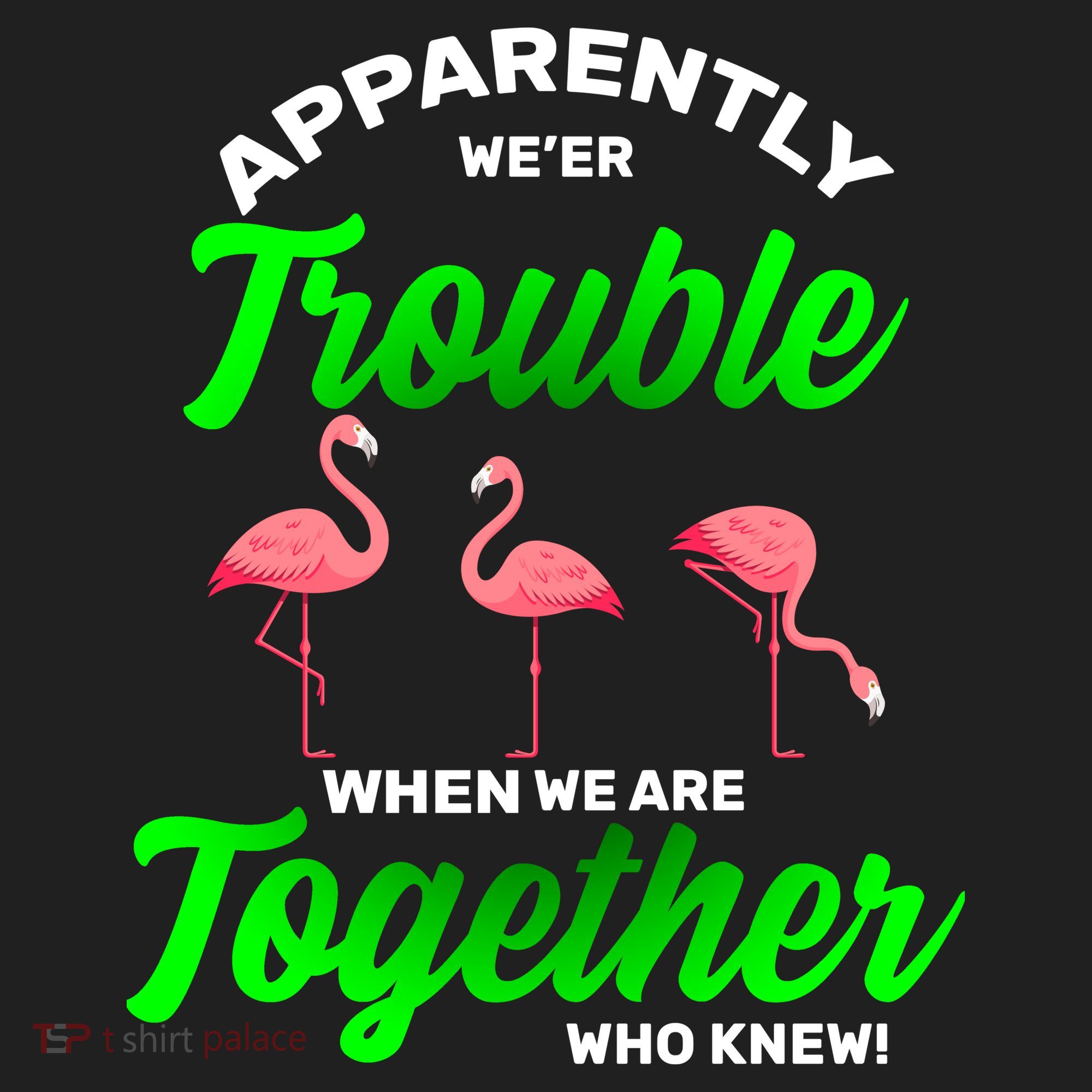 Trouble Flamingo When We Are Together Who Knew Hat