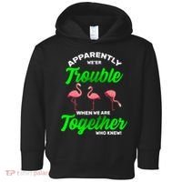 Trouble Flamingo When We Are Together Who Knew Toddler Hoodie thumb 0