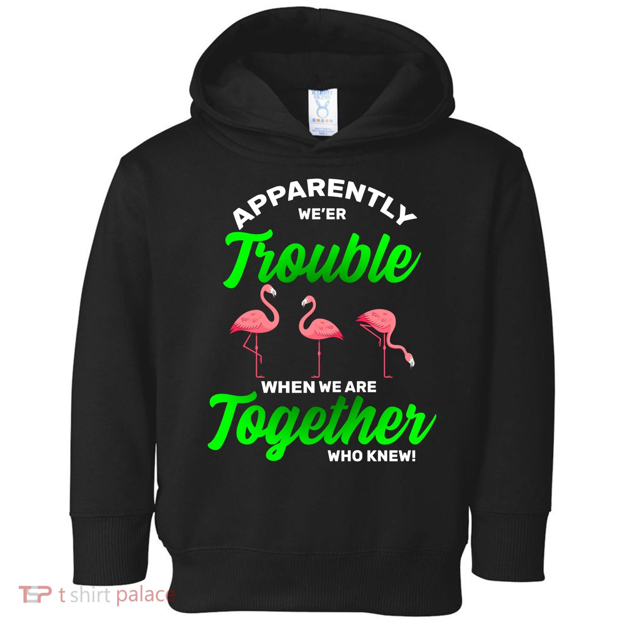 Trouble Flamingo When We Are Together Who Knew Toddler Hoodie