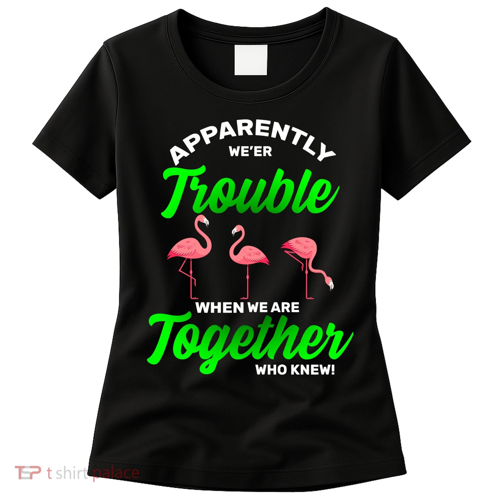 Trouble Flamingo When We Are Together Who Knew Women's T-Shirt
