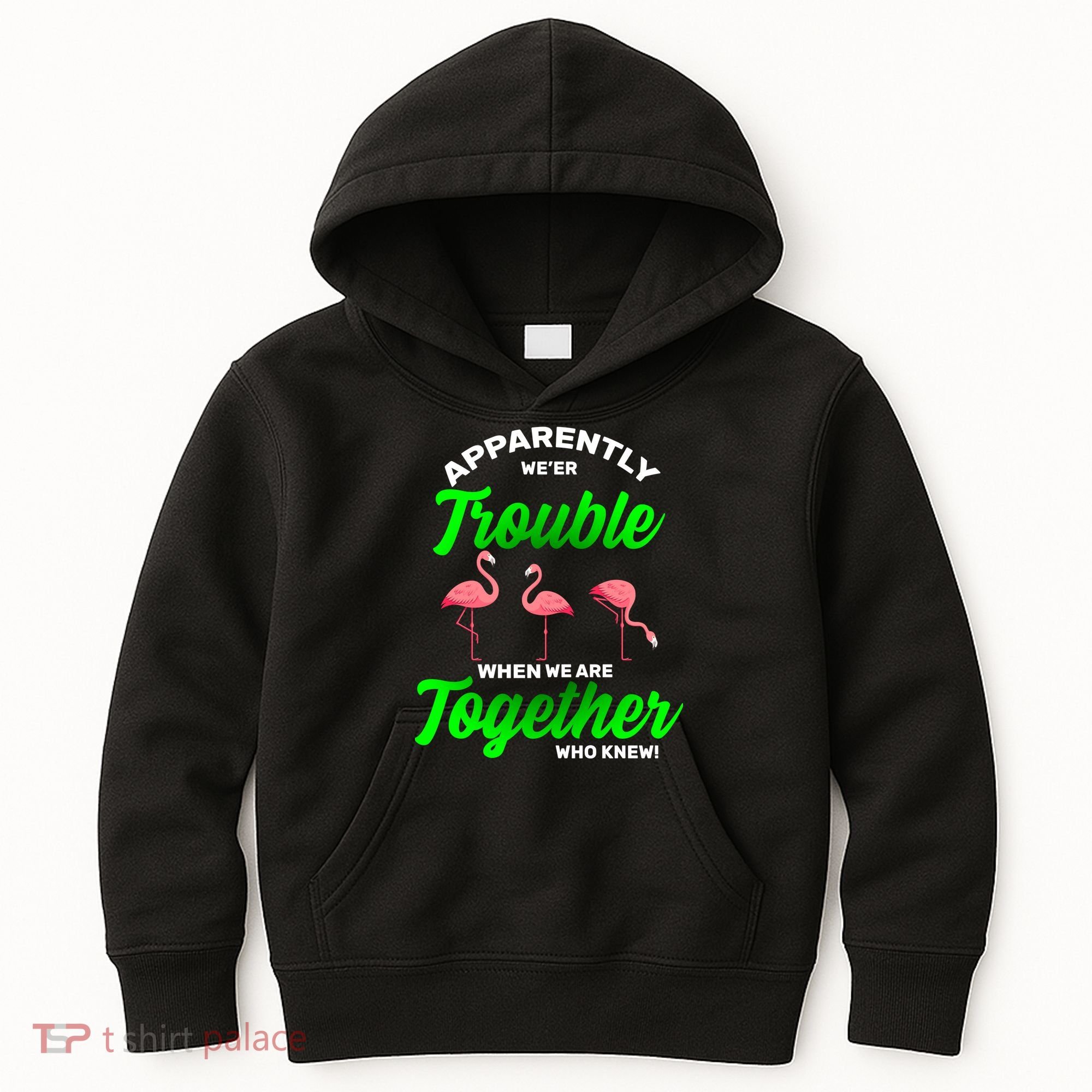 Trouble Flamingo When We Are Together Who Knew Kids Hoodie