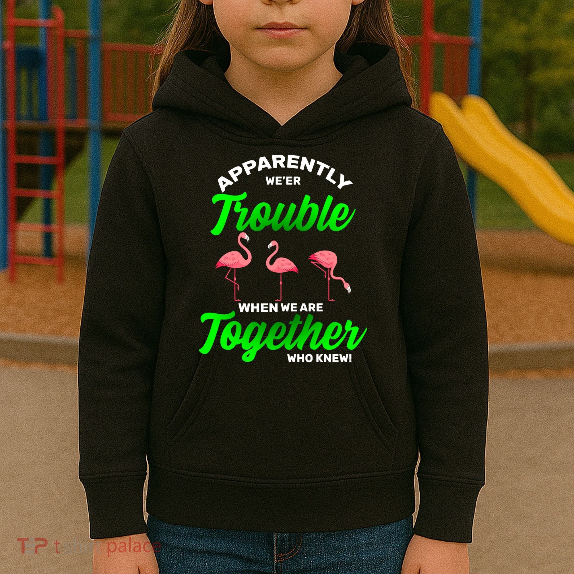 Trouble Flamingo When We Are Together Who Knew Kids Hoodie