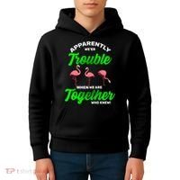 Trouble Flamingo When We Are Together Who Knew Kids Hoodie thumb 4