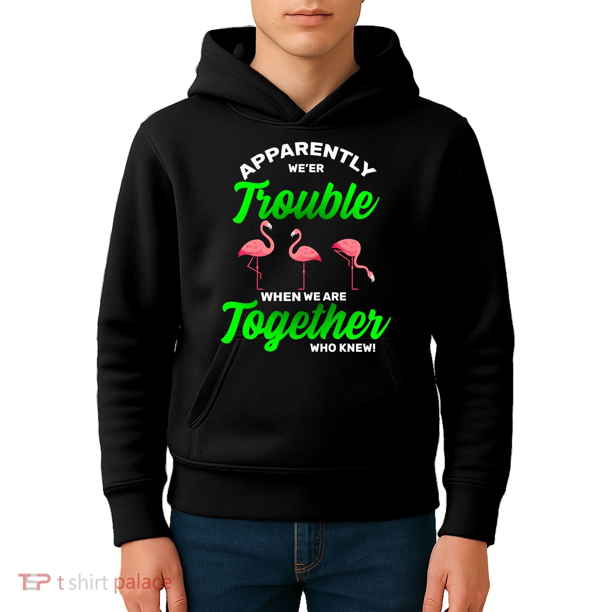 Trouble Flamingo When We Are Together Who Knew Kids Hoodie