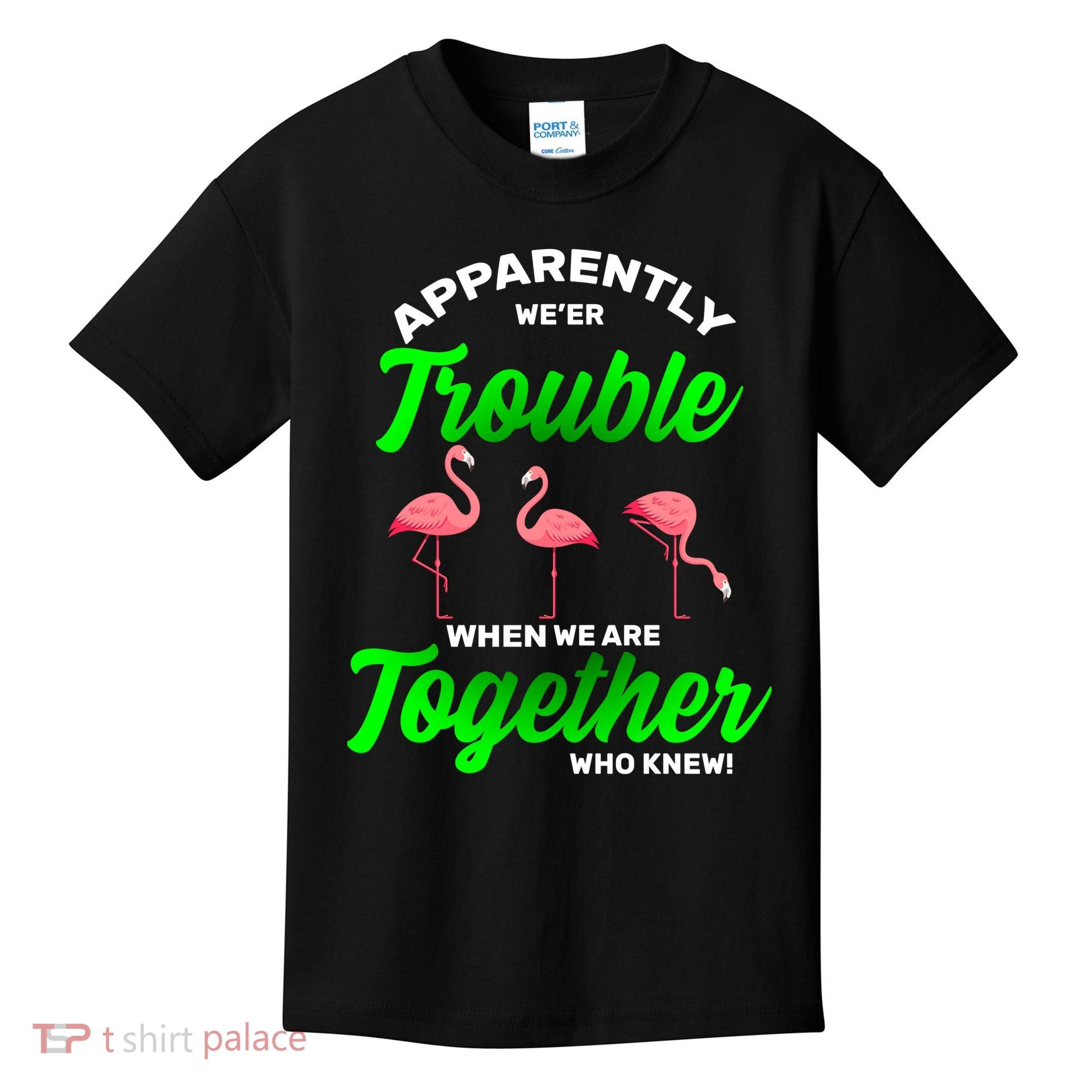 Trouble Flamingo When We Are Together Who Knew Kids T-Shirt