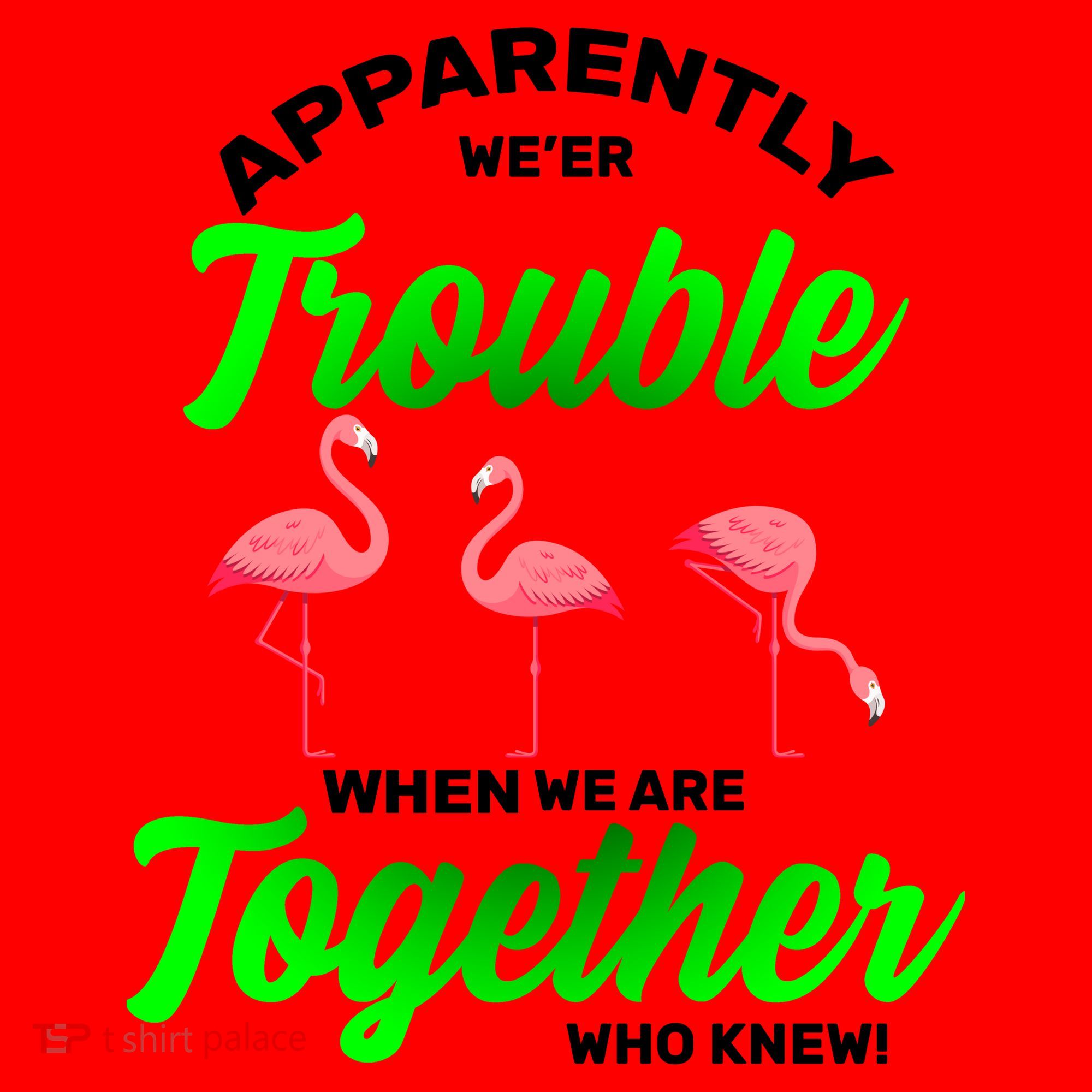 Trouble Flamingo When We Are Together Who Knew Santa Hat