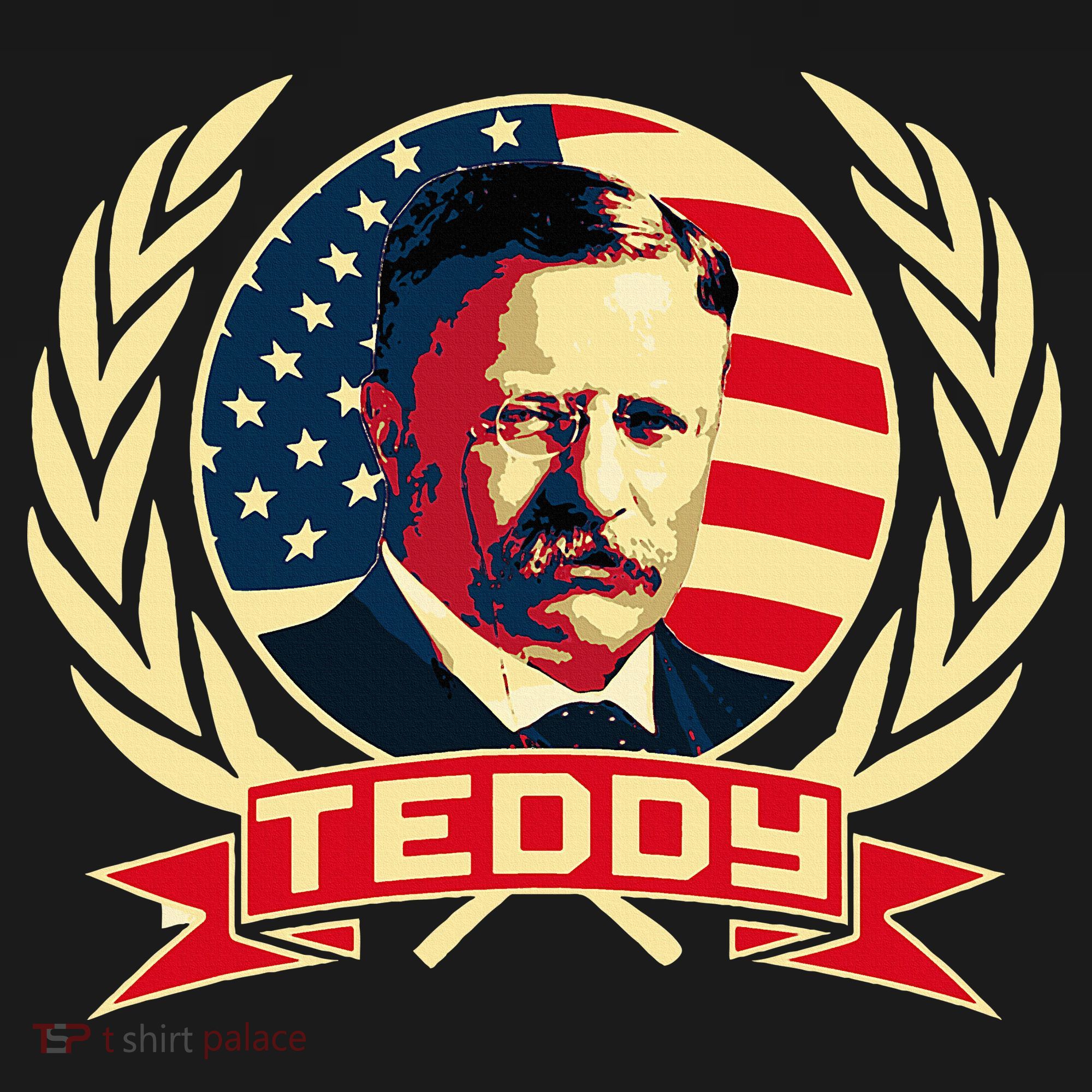 Theodore Roosevelt. President Teddy. American Stars. Long Sleeve Shirt