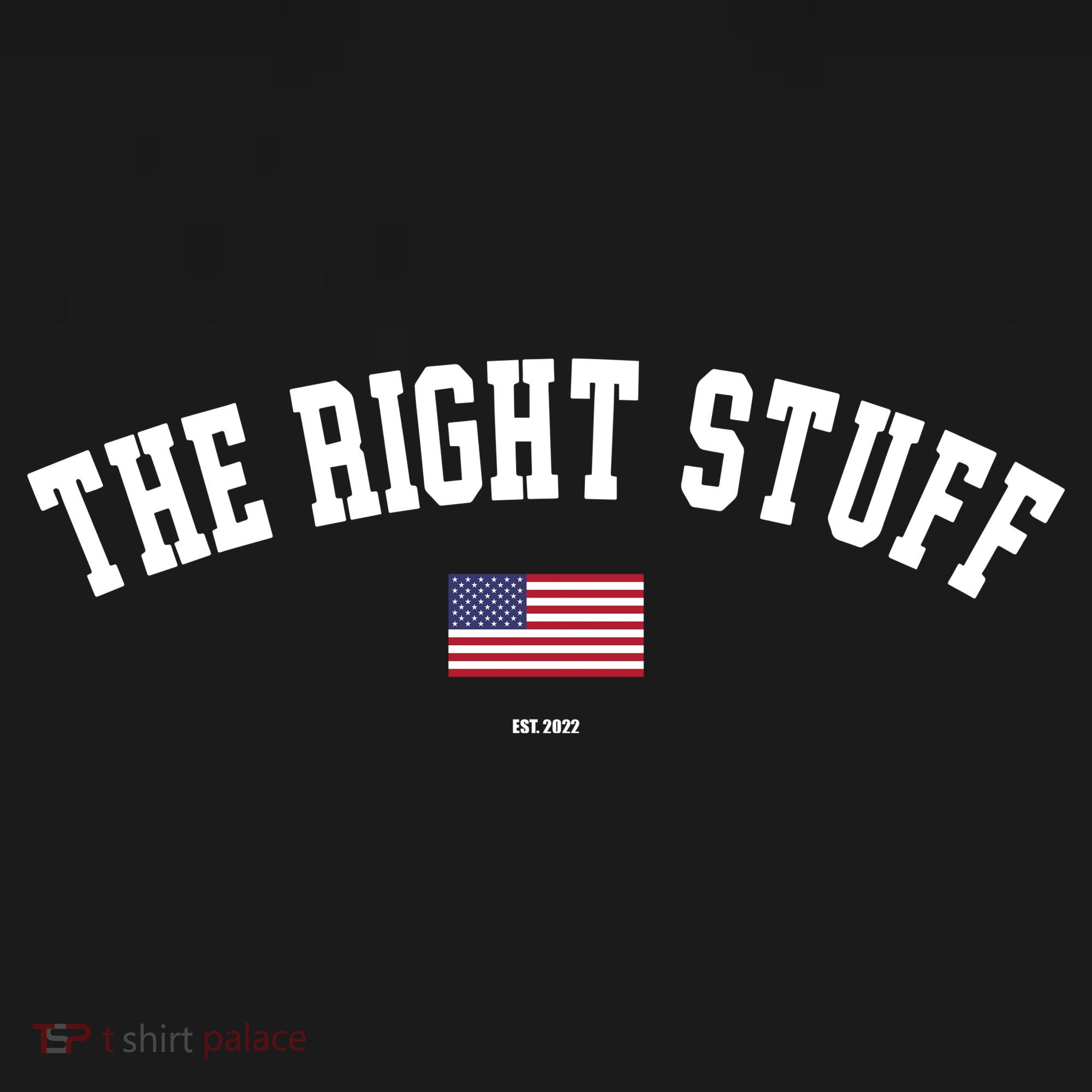 The Right Stuff Est 2024 Mesh Reversible Basketball Jersey Tank