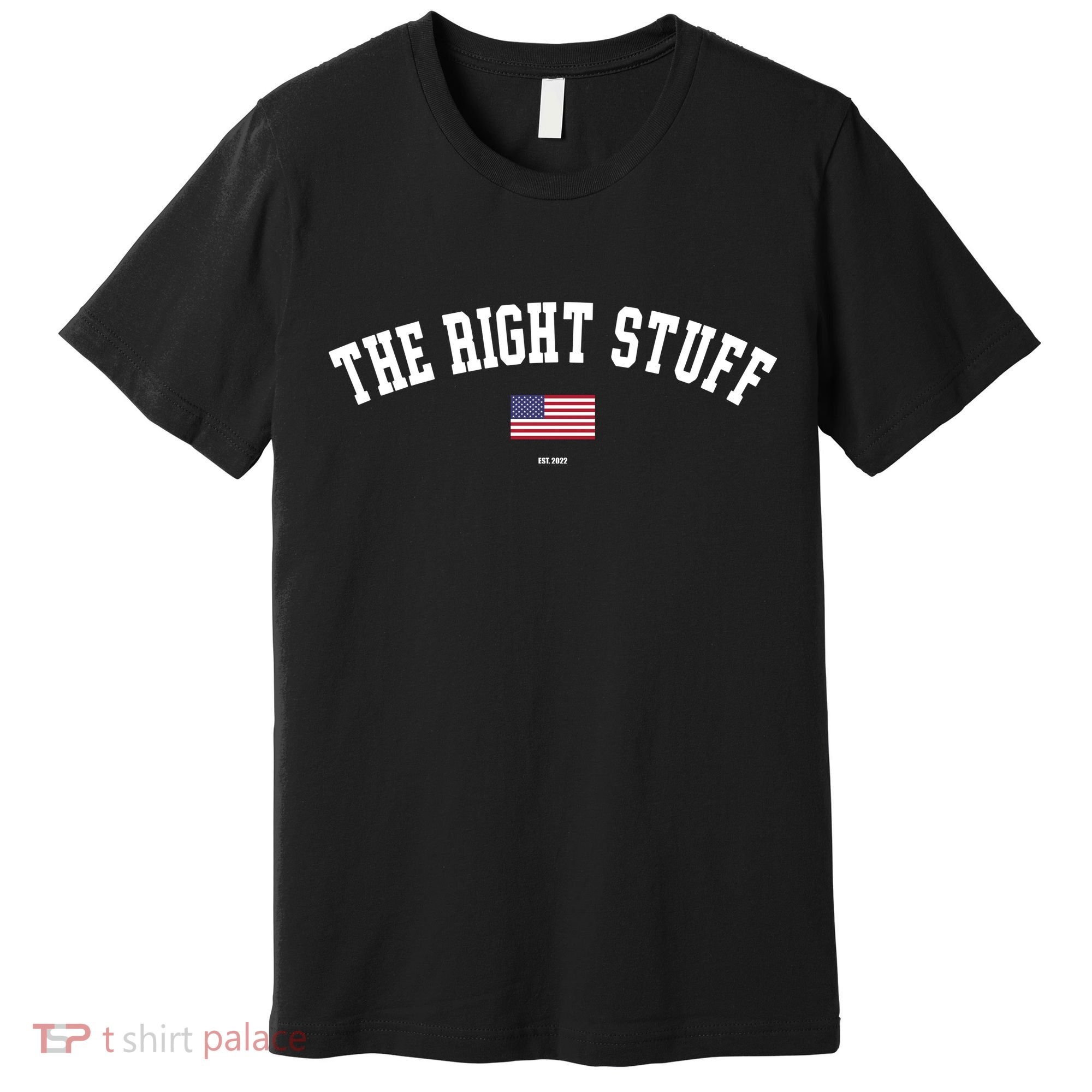 The Right Stuff Est 2024 Premium T-Shirt