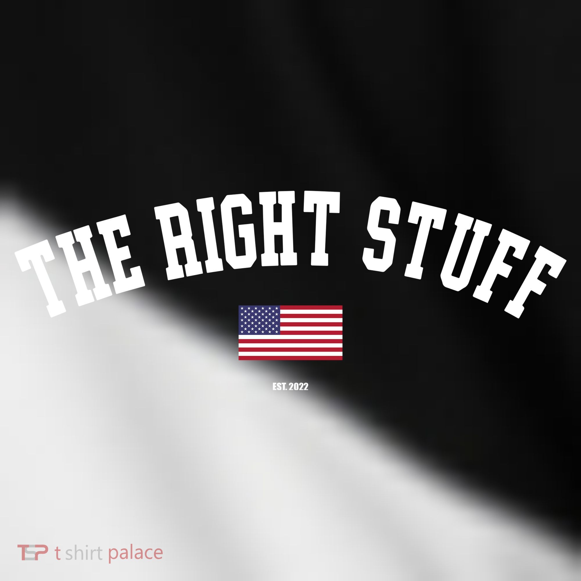 The Right Stuff Est 2024 Toddler Fine Jersey T-Shirt