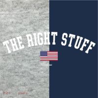 The Right Stuff Est 2024 Kids Colorblock Raglan Jersey thumb 2