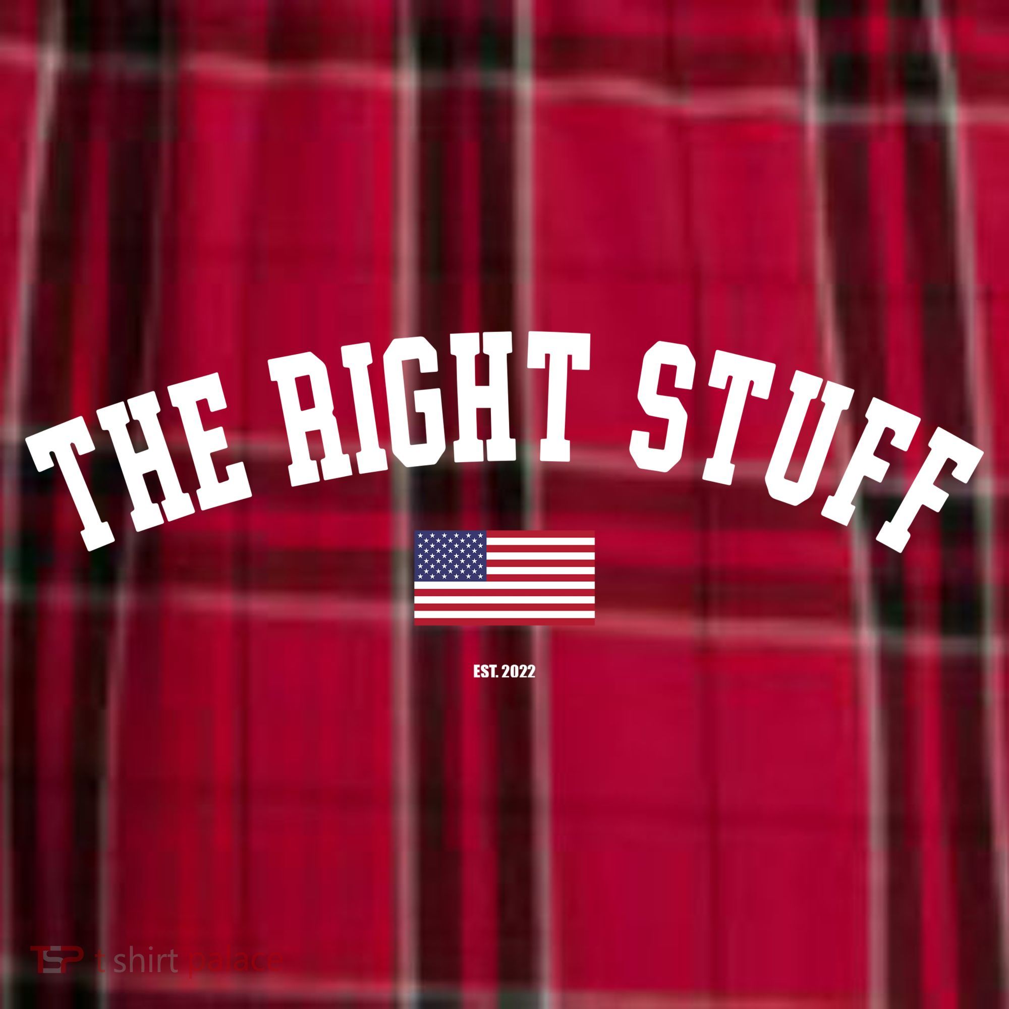 The Right Stuff Est 2024 Men's Flannel Plaid Pajama Pants
