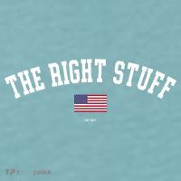 The Right Stuff Est 2024 Sueded Cloud Jersey T-Shirt thumb 2