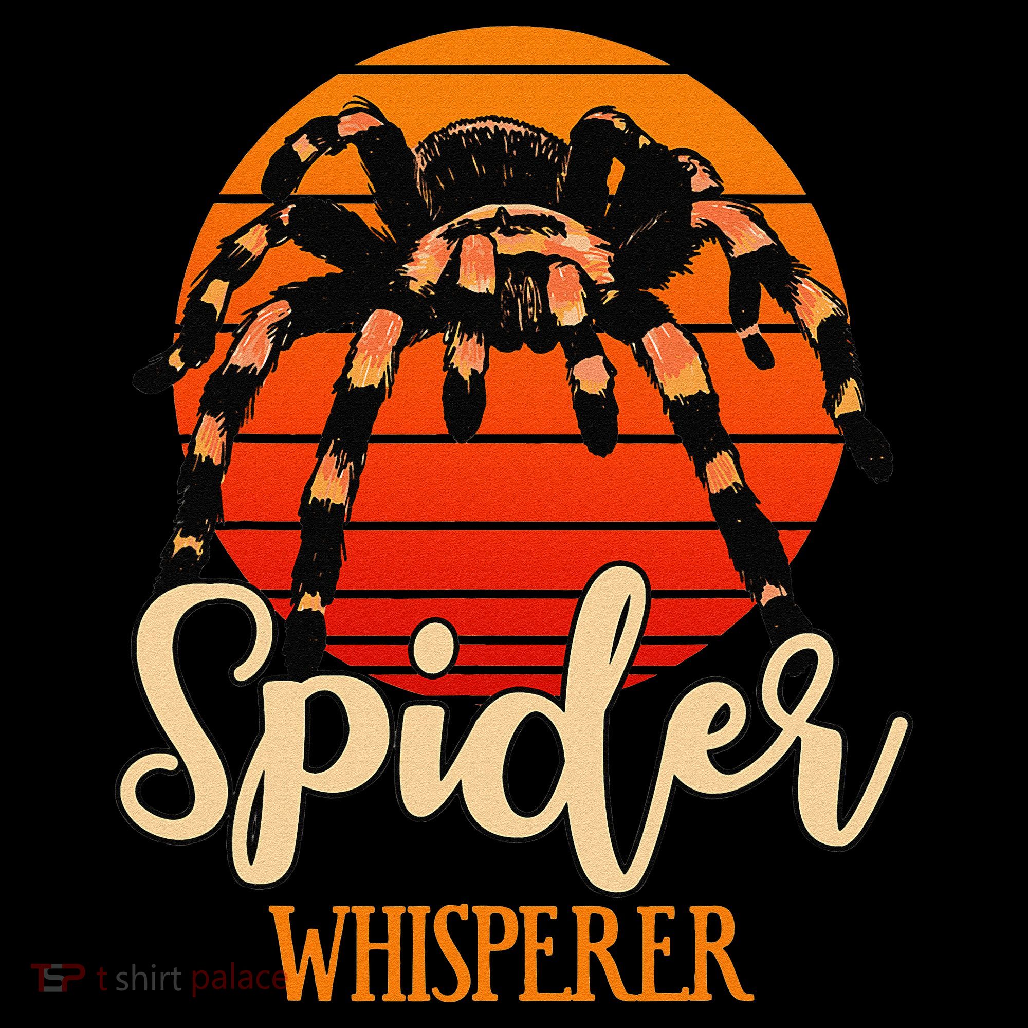 Tarantula Retro Sunset Arachnid Hairy Spiders Entomologist Women's Hoodie