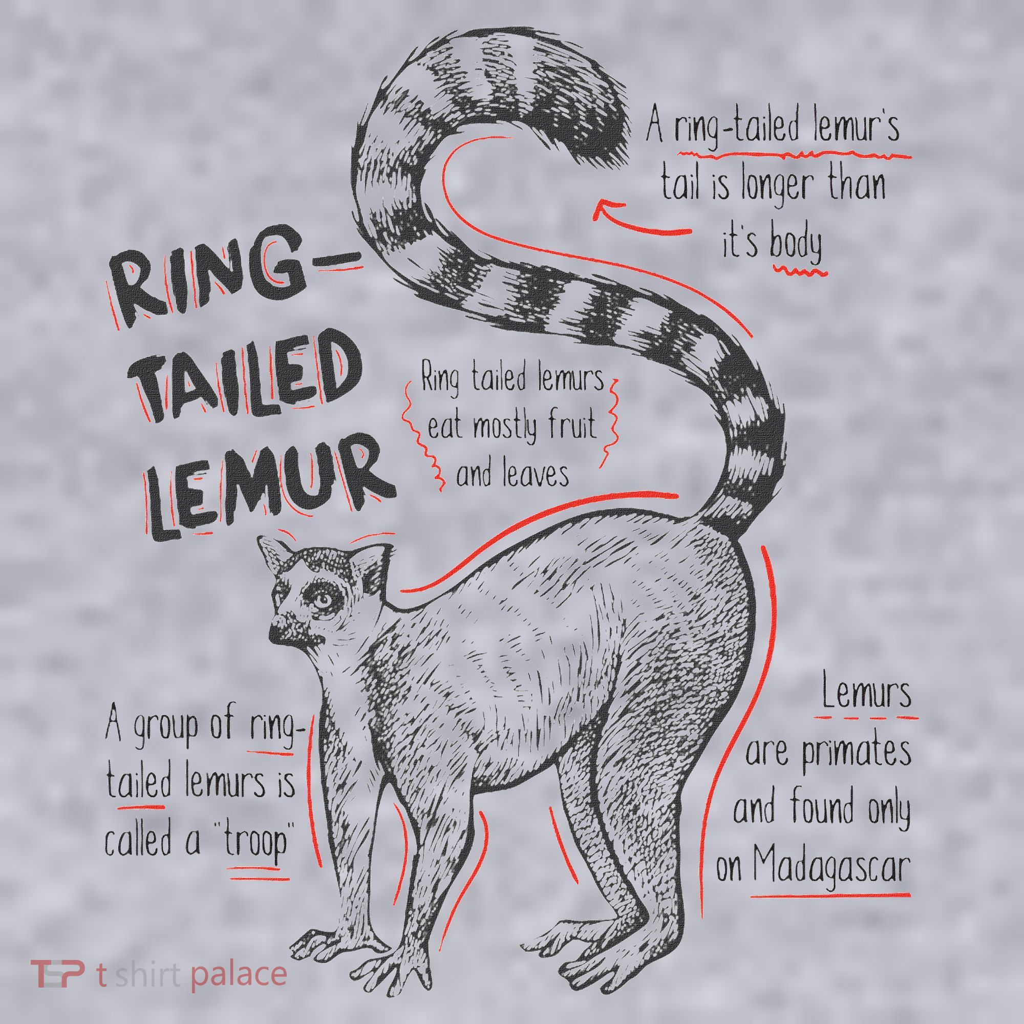 Trendy Ring Tailed Lemur Facts Women's Sweatshirt