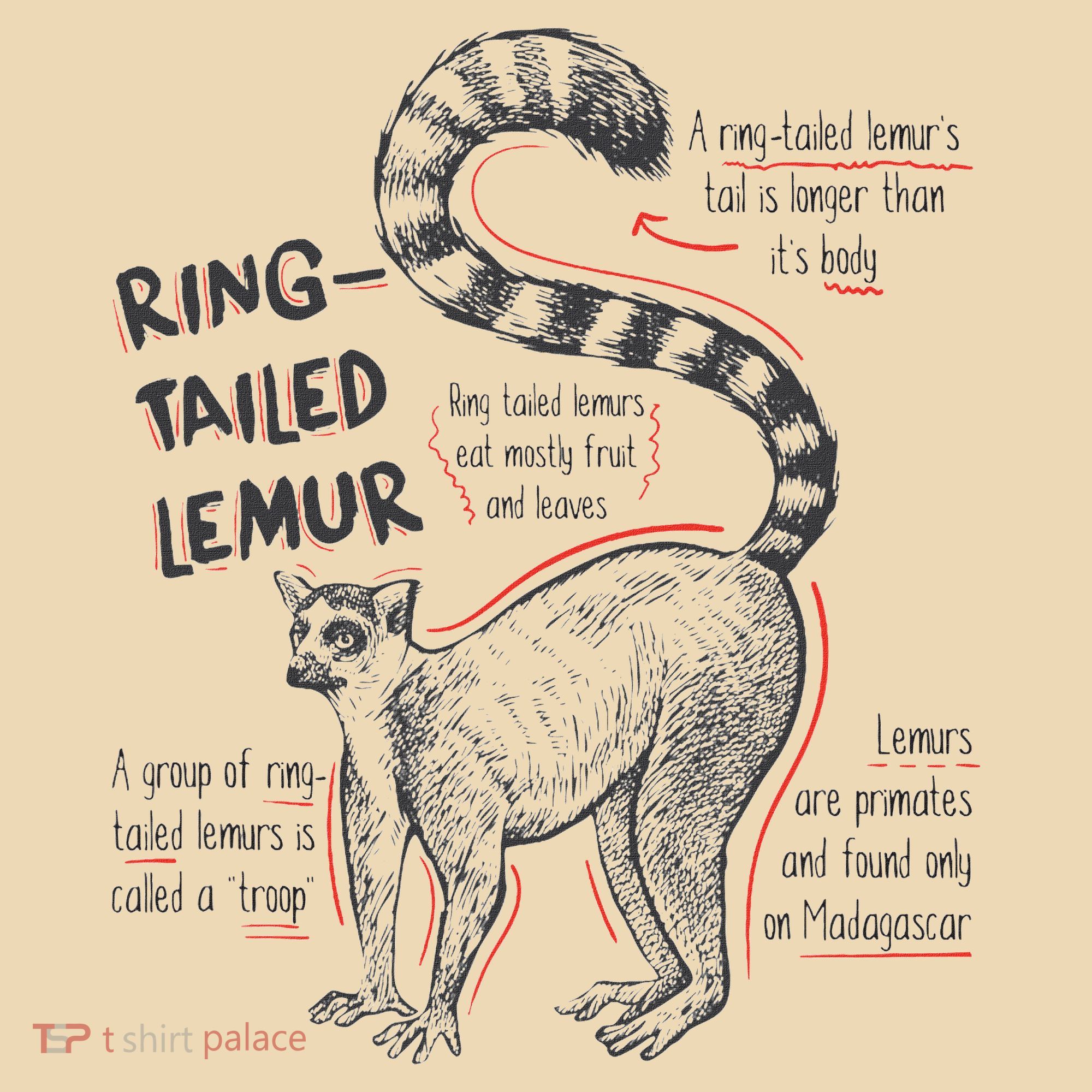 Trendy Ring Tailed Lemur Facts Tote Bag