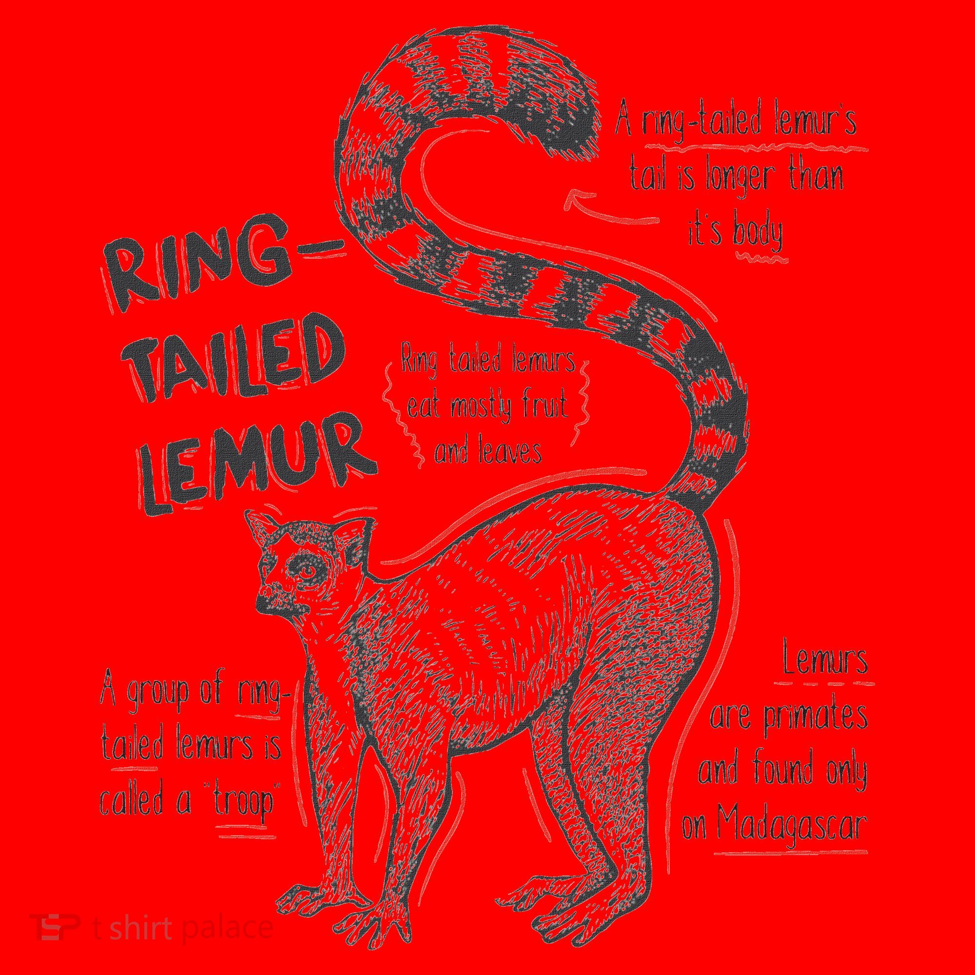 Trendy Ring Tailed Lemur Facts Santa Hat