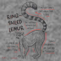 Trendy Ring Tailed Lemur Facts Toddler Hoodie thumb 2