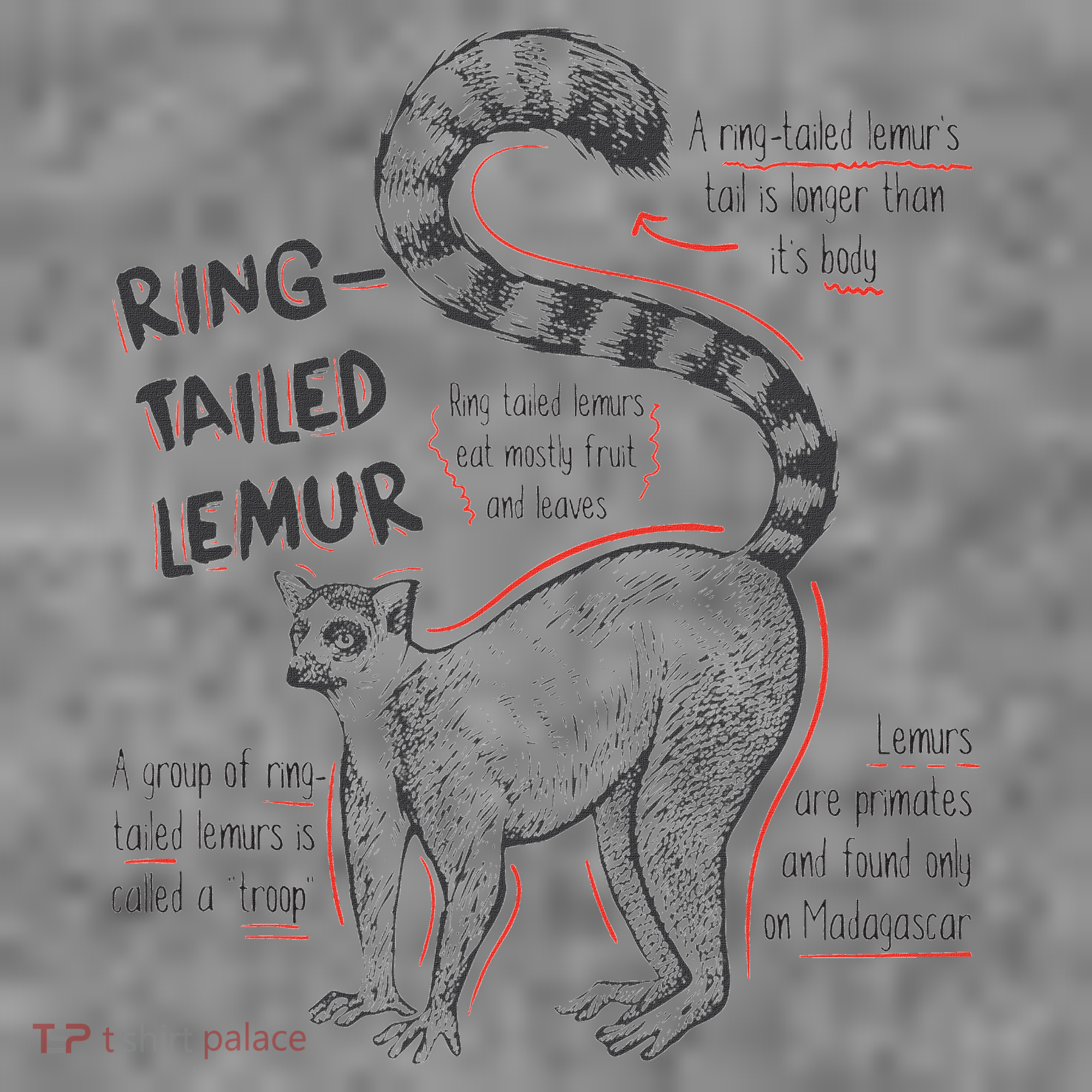 Trendy Ring Tailed Lemur Facts Toddler Hoodie