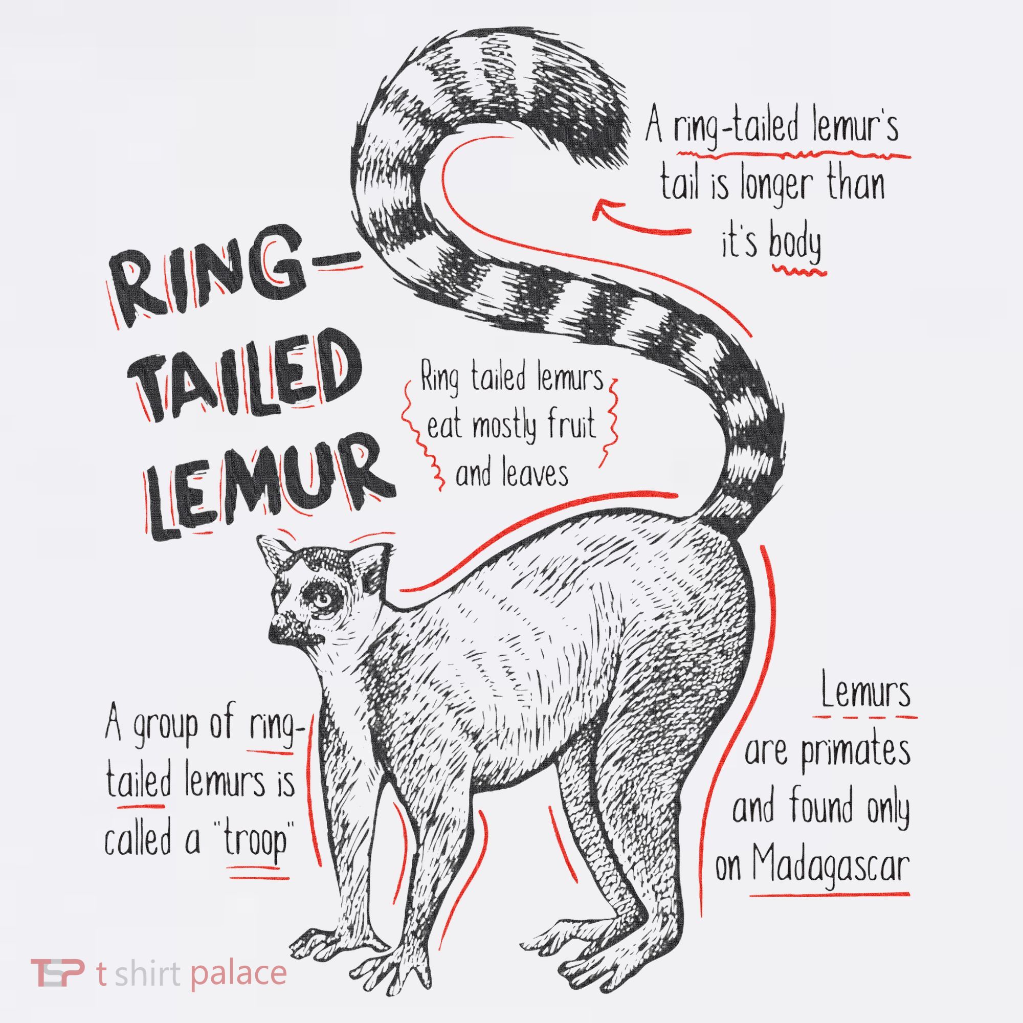 Trendy Ring Tailed Lemur Facts Sweatshirt