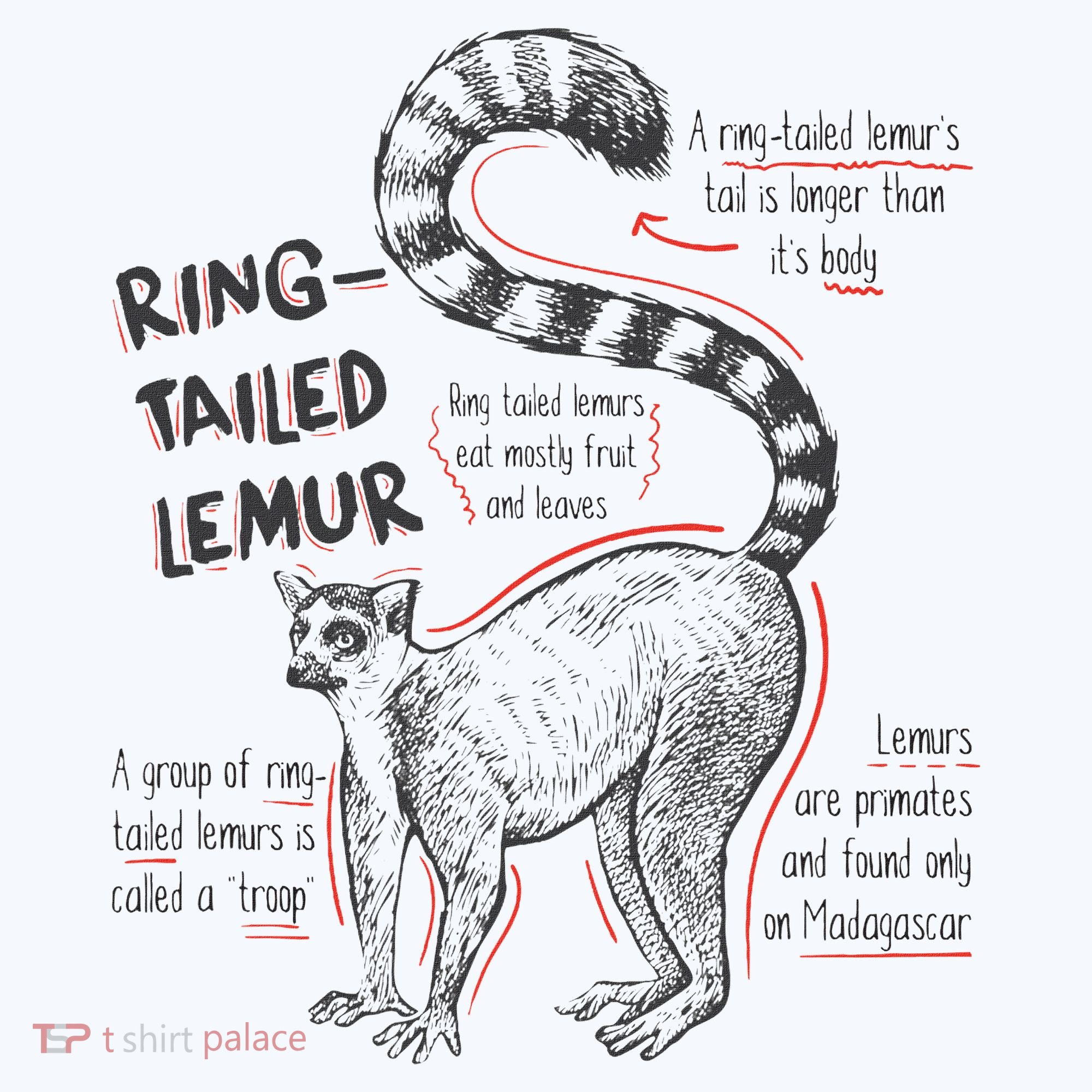 Trendy Ring Tailed Lemur Facts T-Shirt