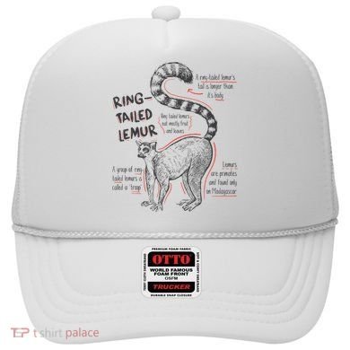 Trendy Ring Tailed Lemur Facts Hat