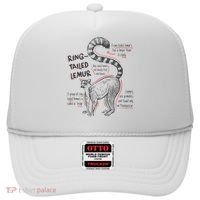 Trendy Ring Tailed Lemur Facts Hat thumb 0