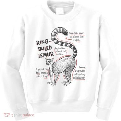 Trendy Ring Tailed Lemur Facts Kids Sweatshirt