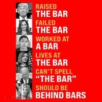 Trump Raised The Bar Harris Failed The Bar Santa Hat thumb 1