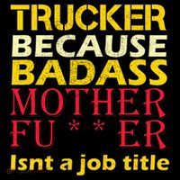 Trucker Badass Job Title  Ornament thumb 1