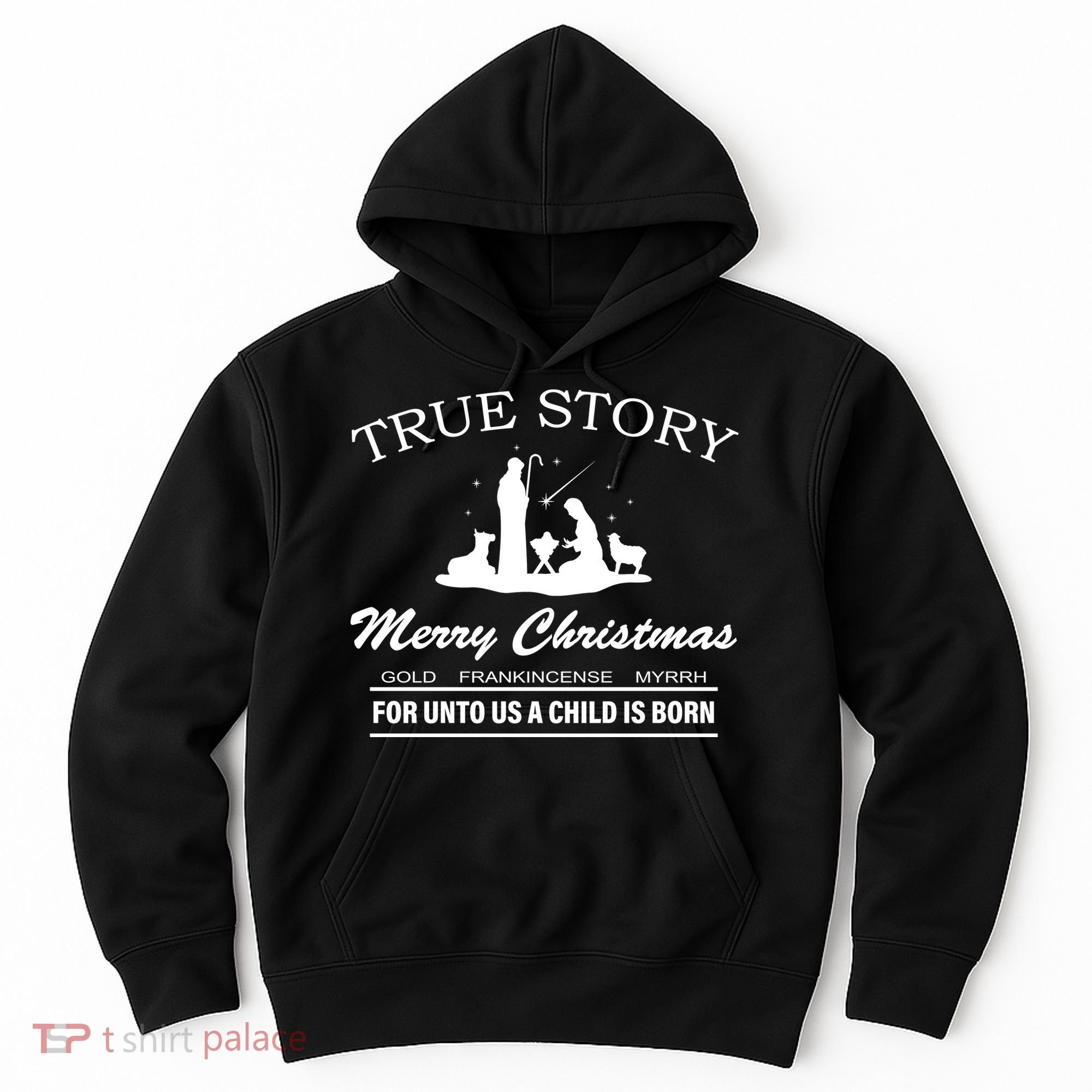 True Story Merry Christmas Jesus Christ  Hoodie