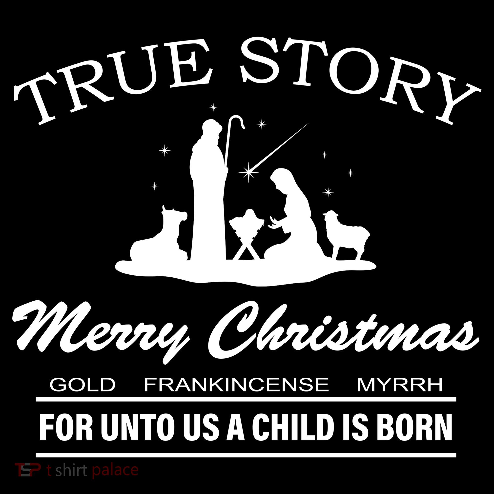 True Story Merry Christmas Jesus Christ  T-Shirt