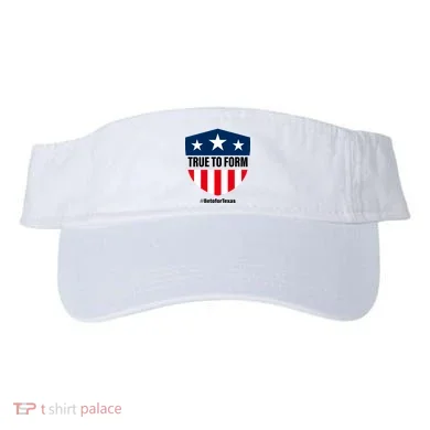 Visor